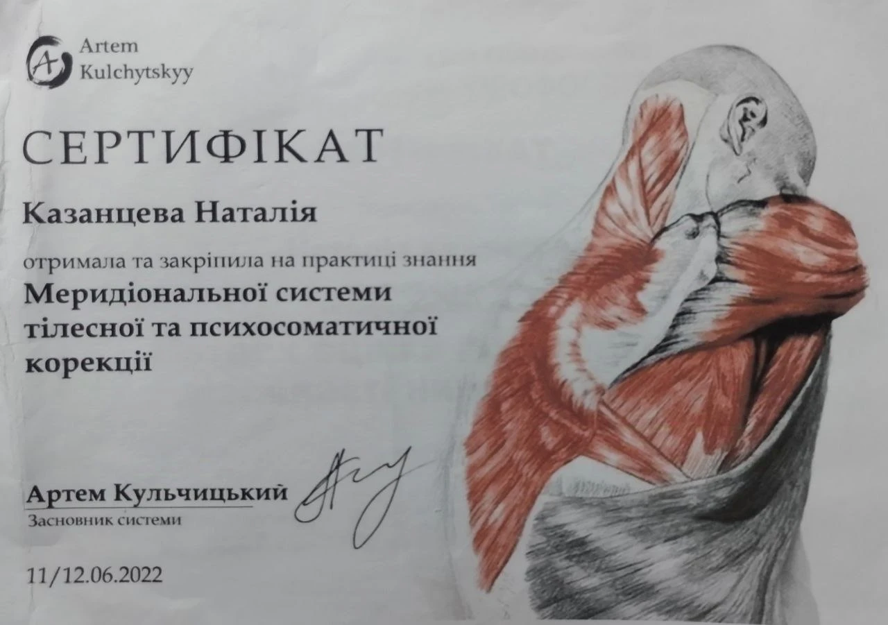 Меридіональна система тілесної корекції, 2022